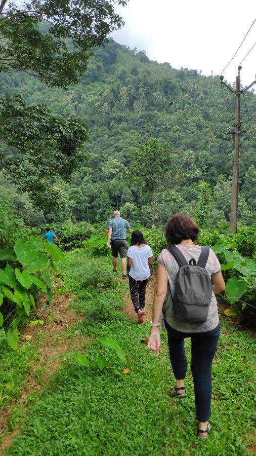 Vanilla County วากามอน ภายนอก รูปภาพ