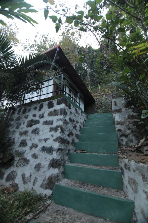 Vanilla County วากามอน ภายนอก รูปภาพ