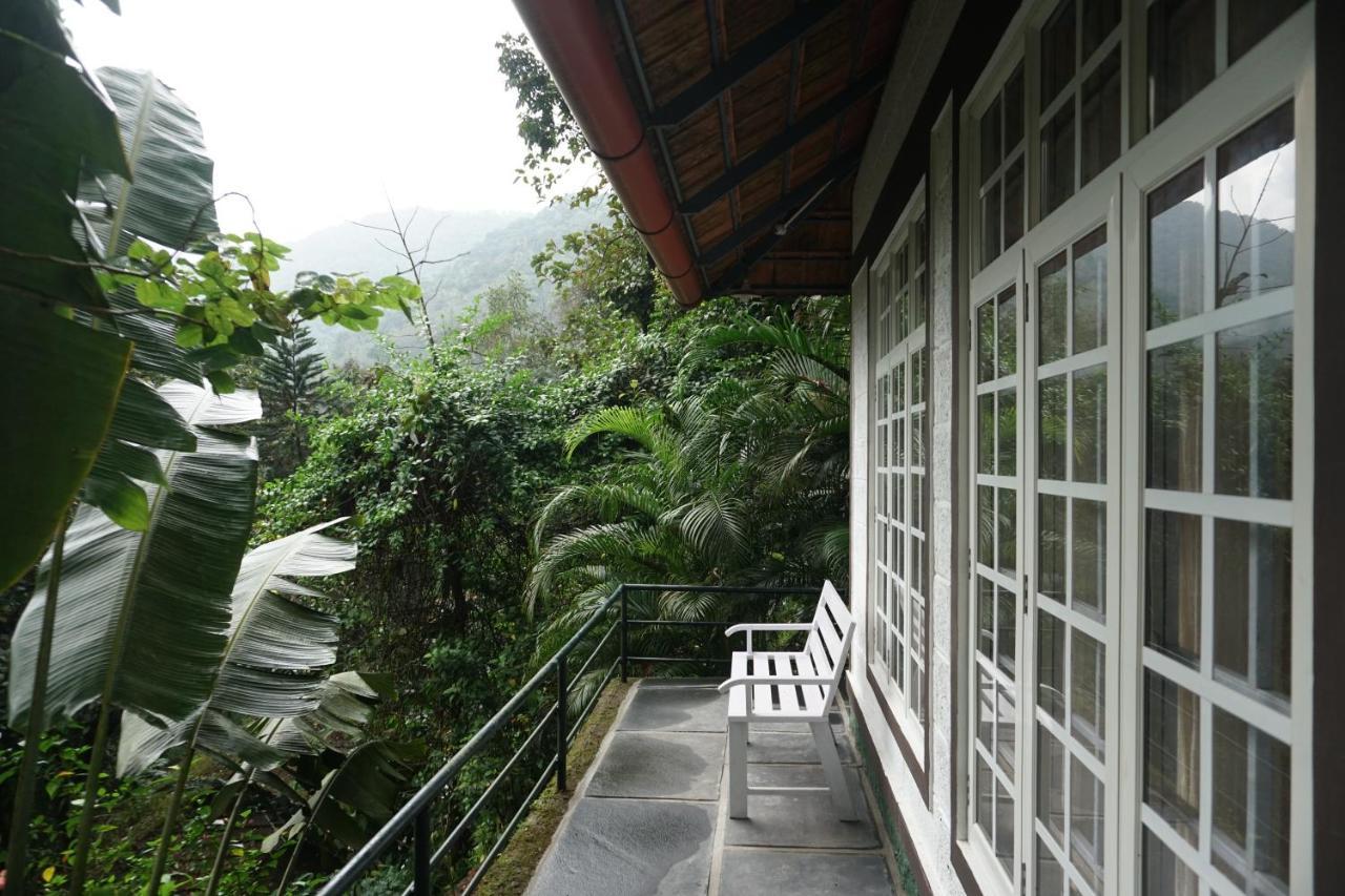 Vanilla County วากามอน ภายนอก รูปภาพ