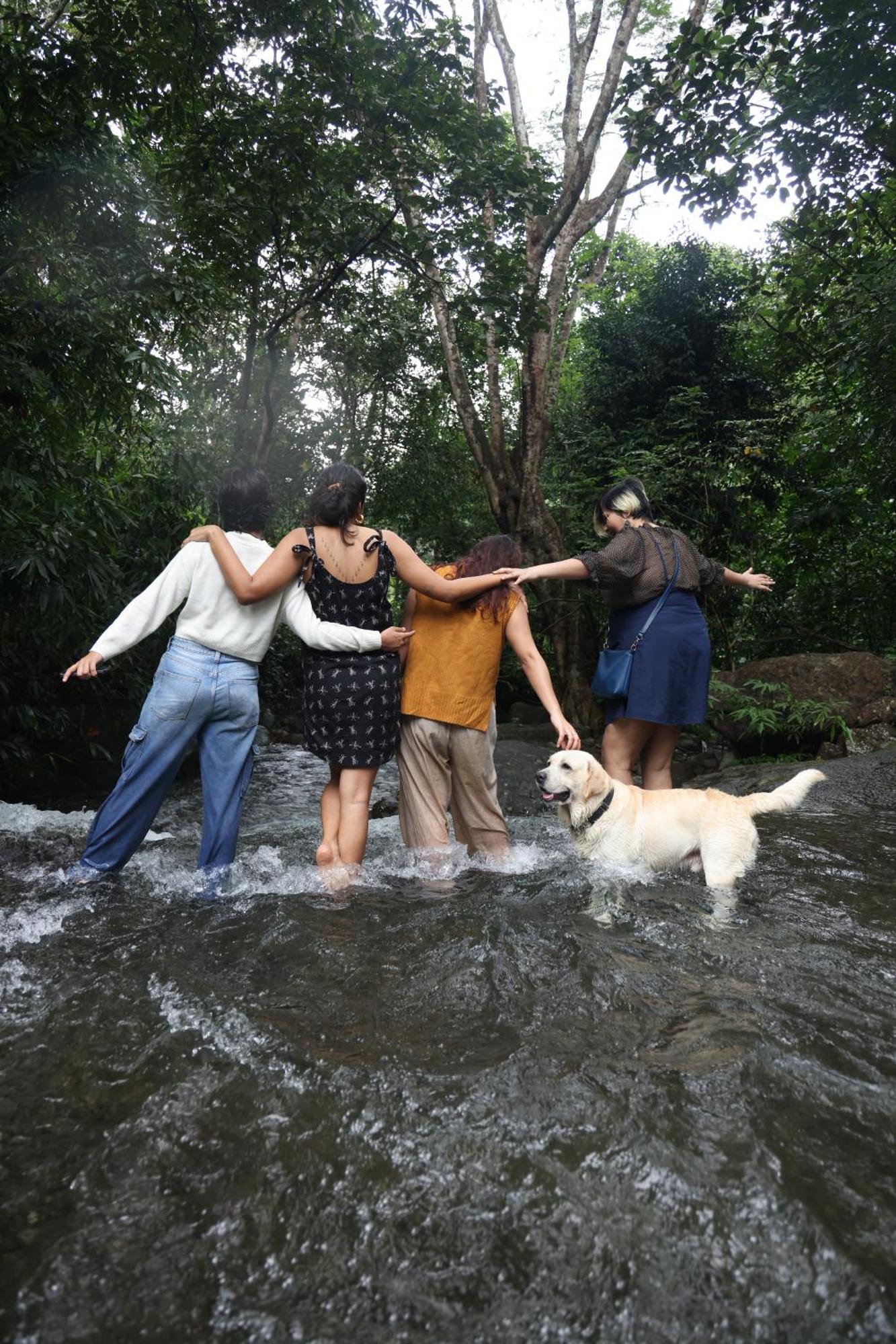 Vanilla County วากามอน ภายนอก รูปภาพ