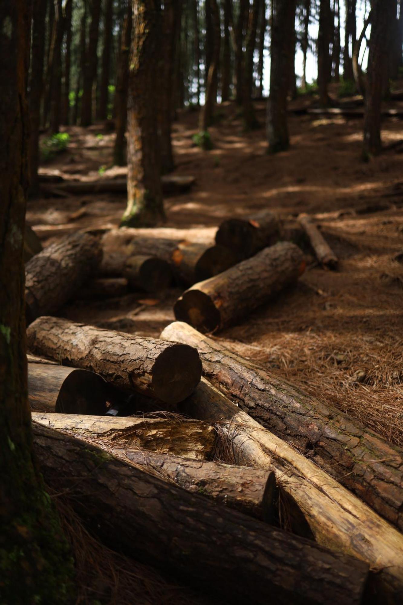 Vanilla County วากามอน ภายนอก รูปภาพ