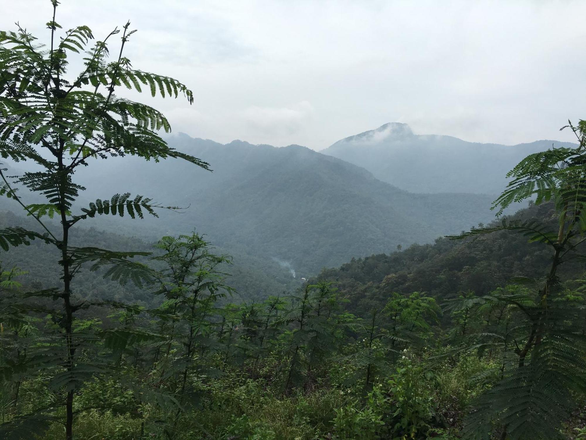 Vanilla County วากามอน ภายนอก รูปภาพ