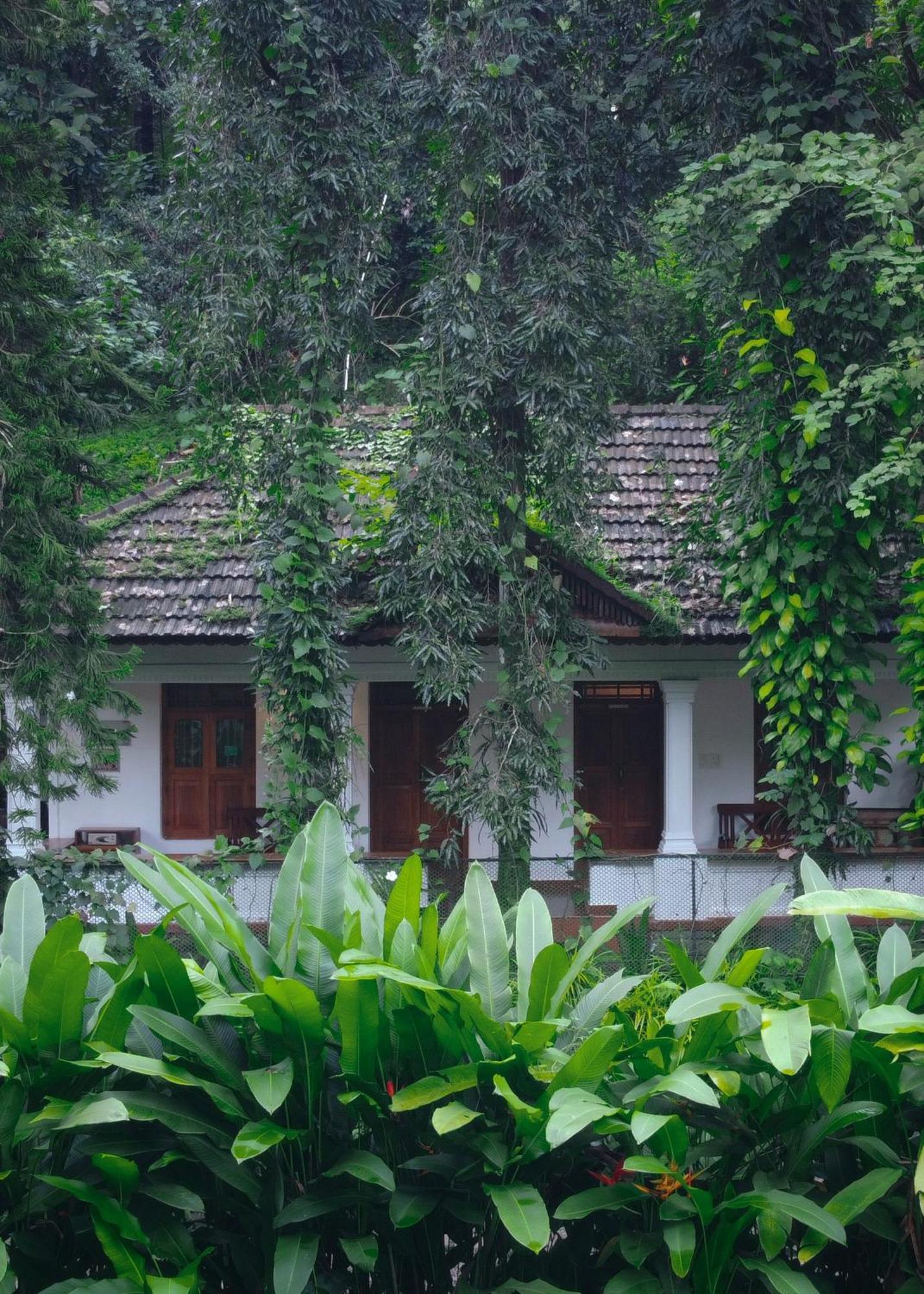 Vanilla County วากามอน ภายนอก รูปภาพ